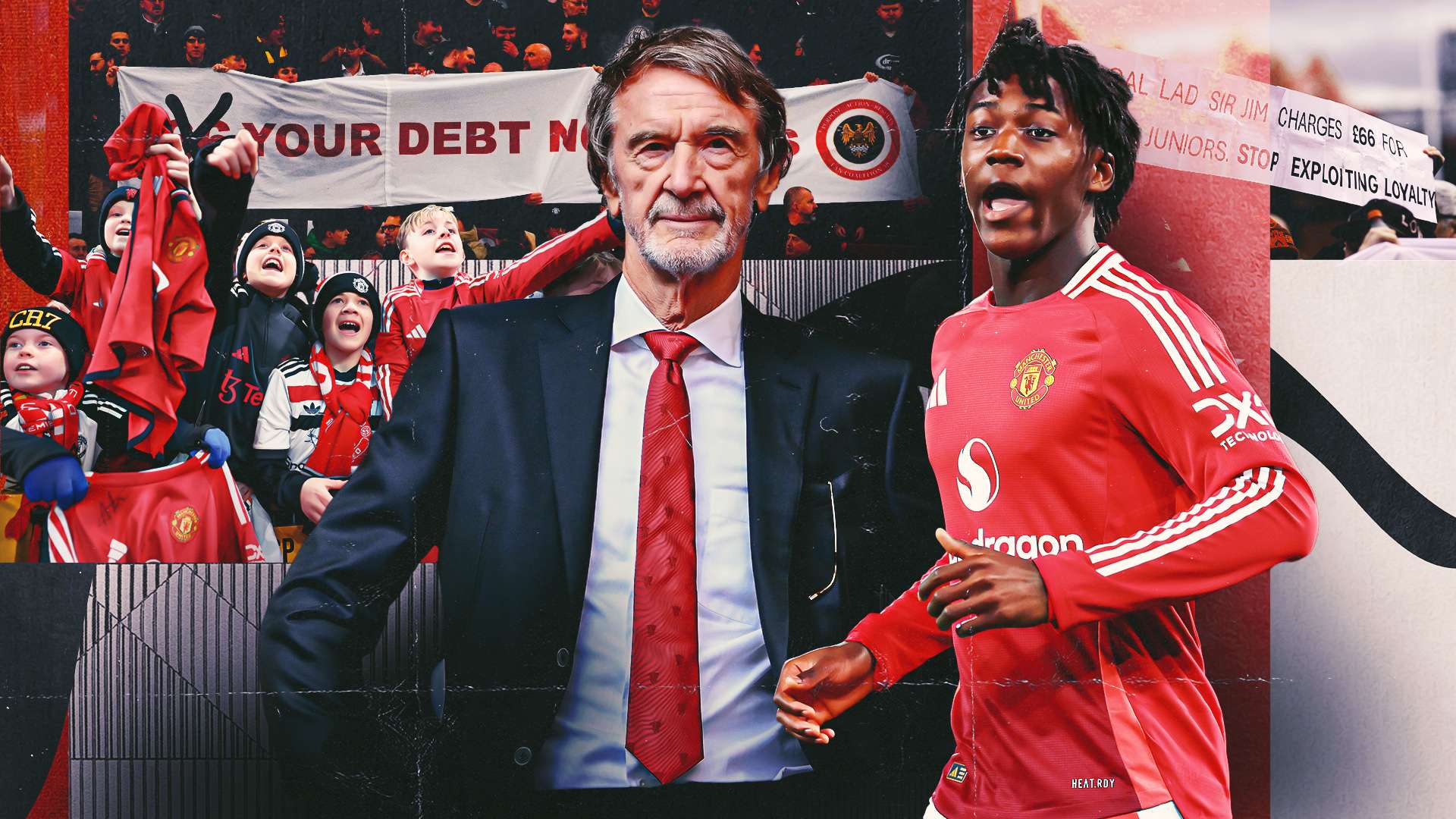 牛在訓練中 牛在訓練中